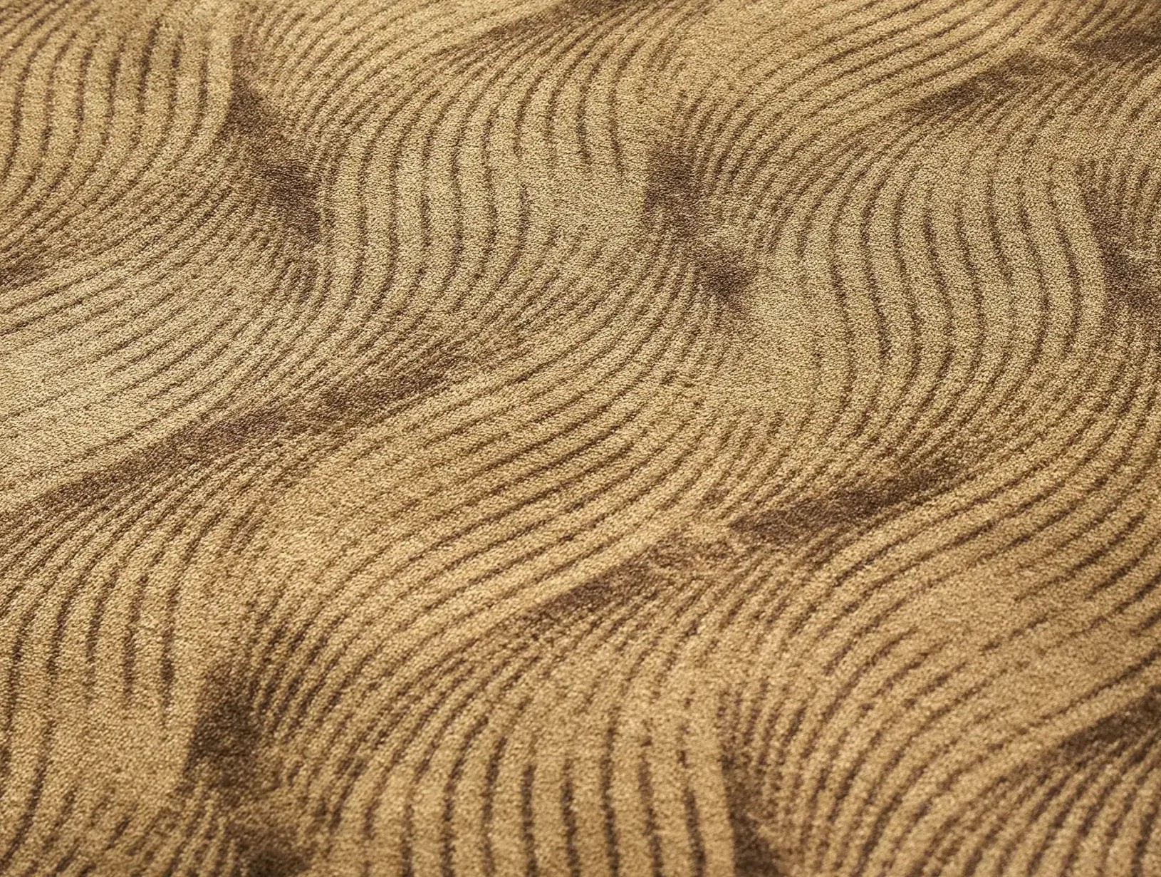 Radici PalmaMoka